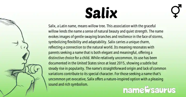 Infographic about Salix name meaning, Salix is a name from Latin origin(s).
