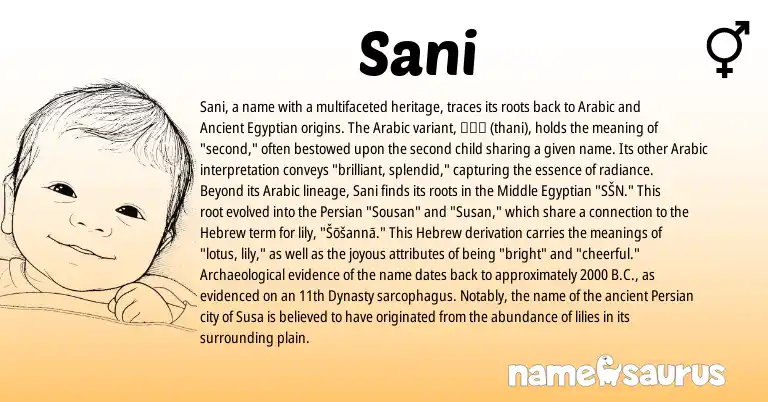 Infographic about Sani name meaning, Sani is a name from Ancient Egyptian, Persian, Arabic, Egyptian, Hebrew origin(s).