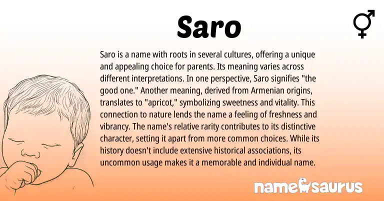 Infographic about Saro name meaning, Saro is a name from Indian, Armenian, Persian, Turkish origin(s).