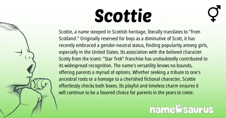 Infographic about Scottie name meaning, Scottie is a name from Scottish, United States origin(s).