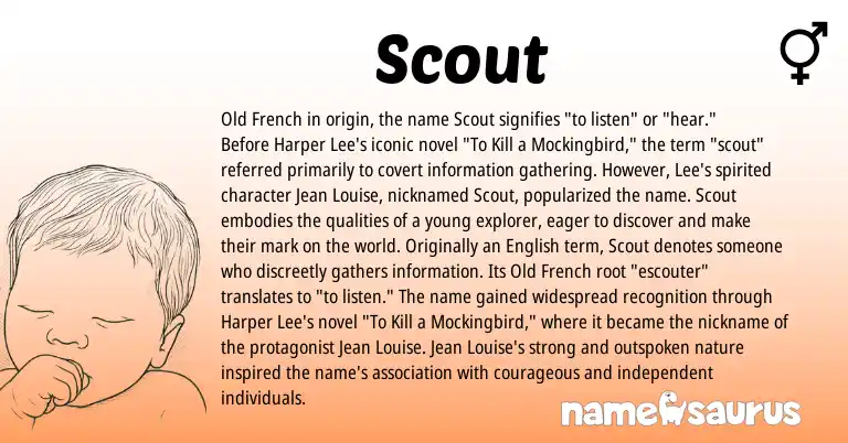Infographic about Scout name meaning, Scout is a name from English, Old French origin(s).