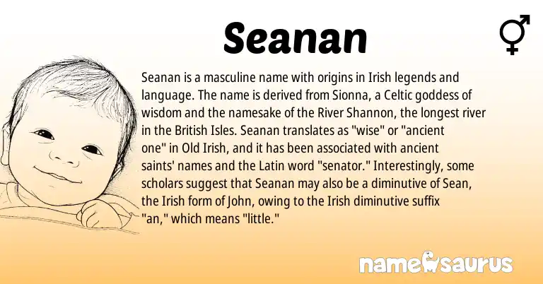 Infographic about Seanan name meaning, Seanan is a name from Irish, British, Latin, Celtic, Old Irish origin(s).