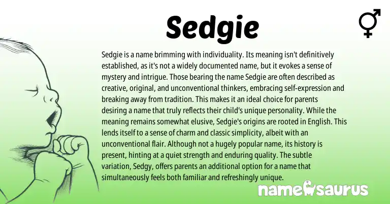 Infographic about Sedgie name meaning, Sedgie is a name from Other origin(s).