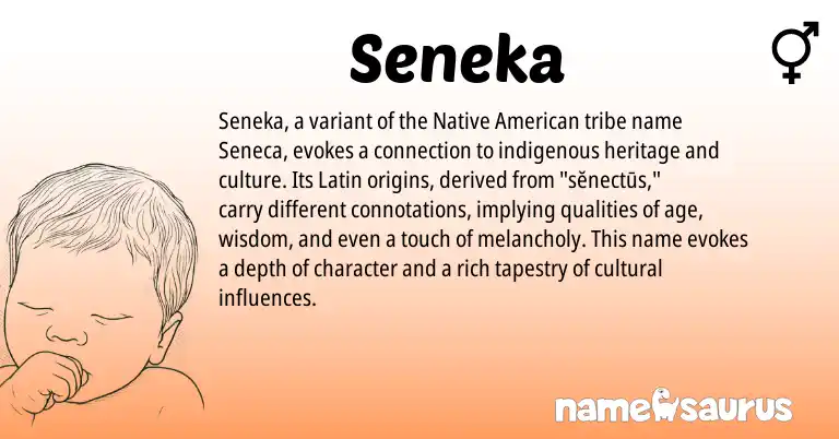 Infographic about Seneka name meaning, Seneka is a name from Native American, Latin origin(s).