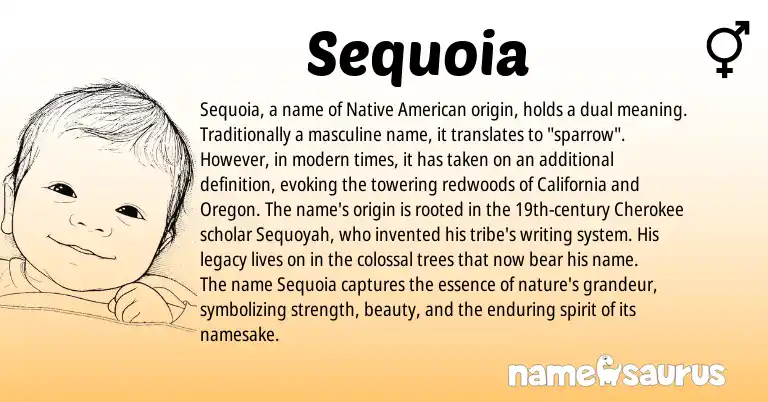 Infographic about Sequoia name meaning, Sequoia is a name from Native American, Cherokee origin(s).