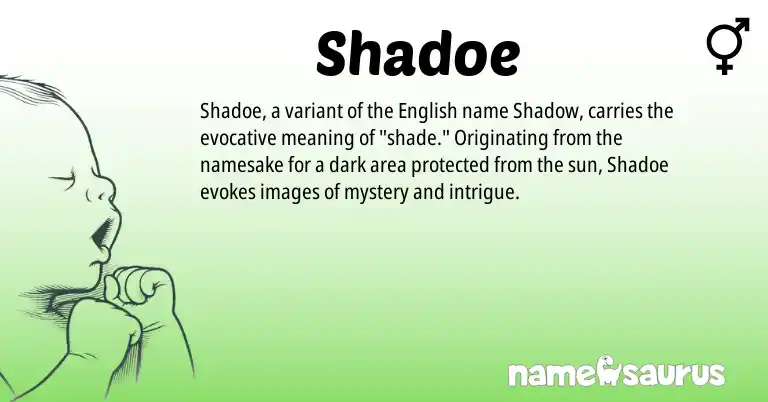 Infographic about Shadoe name meaning, Shadoe is a name from English origin(s).