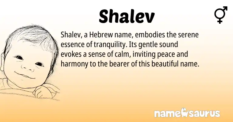 Infographic about Shalev name meaning, Shalev is a name from Hebrew origin(s).