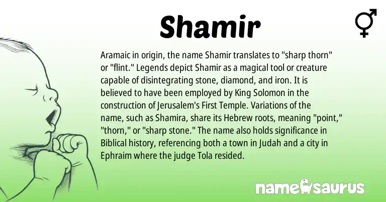 Infographic about Shamir name meaning, Shamir is a name from Aramaic, Hebrew, Legends origin(s).