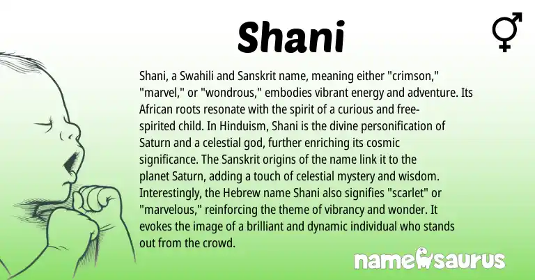 Infographic about Shani name meaning, Shani is a name from Hinduism, Sanskrit, Swahili, African, Hebrew origin(s).