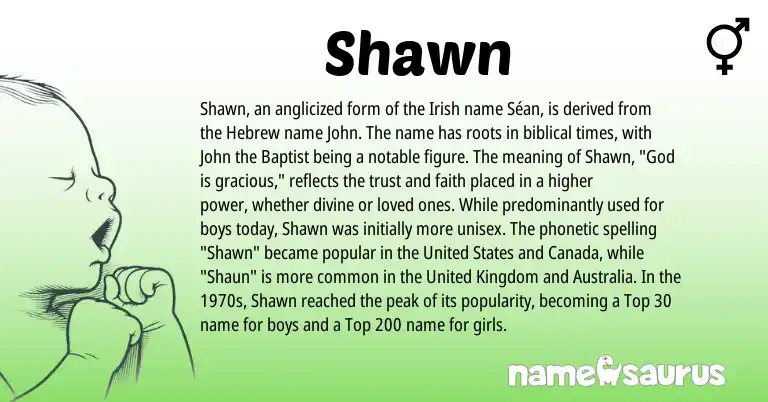 Infographic about Shawn name meaning, Shawn is a name from Irish, United Kingdom, Hebrew, United States origin(s).