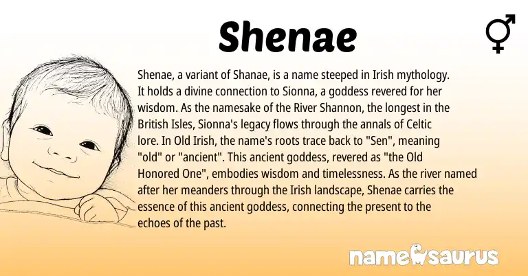 Infographic about Shenae name meaning, Shenae is a name from Irish, British, Celtic, Old Irish origin(s).