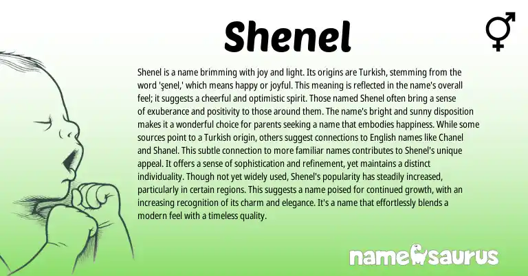 Infographic about Shenel name meaning, Shenel is a name from Turkish origin(s).