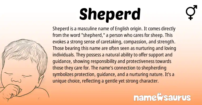 Infographic about Sheperd name meaning, Sheperd is a name from English origin(s).