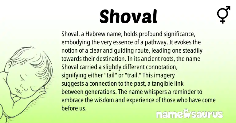 Infographic about Shoval name meaning, Shoval is a name from Hebrew origin(s).