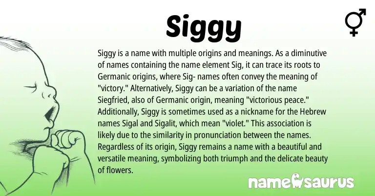 Infographic about Siggy name meaning, Siggy is a name from Germanic, Hebrew origin(s).