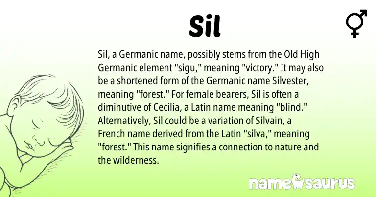 Infographic about Sil name meaning, Sil is a name from French, Germanic, Latin origin(s).