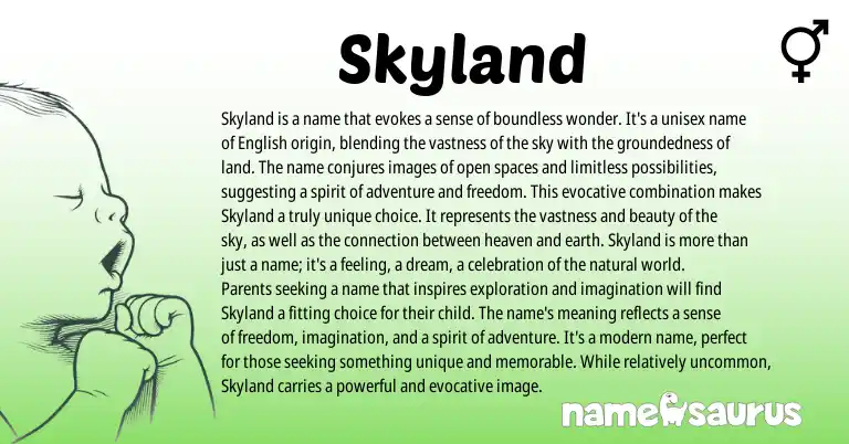 Infographic about Skyland name meaning, Skyland is a name from English origin(s).