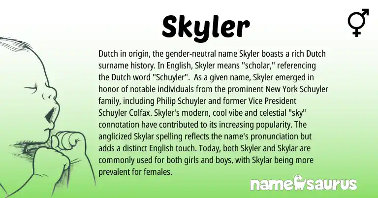 Infographic about Skyler name meaning, Skyler is a name from English, Dutch origin(s).