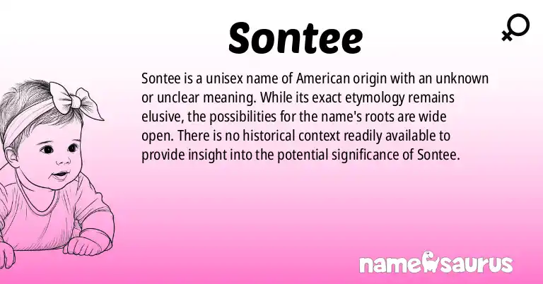 Infographic about Sontee name meaning, Sontee is a name from American origin(s).
