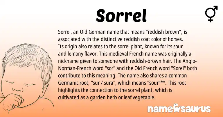 Infographic about Sorrel name meaning, Sorrel is a name from Old French, French, Germanic, Anglo-Norman, Old German origin(s).