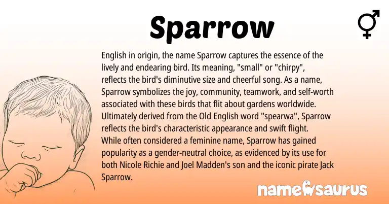 Infographic about Sparrow name meaning, Sparrow is a name from Old English, English origin(s).