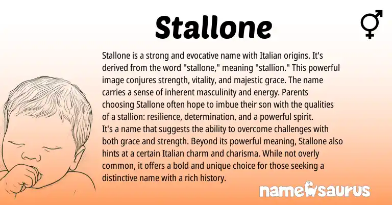 Infographic about Stallone name meaning, Stallone is a name from Italian origin(s).