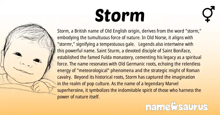 Infographic about Storm name meaning, Storm is a name from Old Norse, British, Roman, Legends, Old English, Old Germanic origin(s).