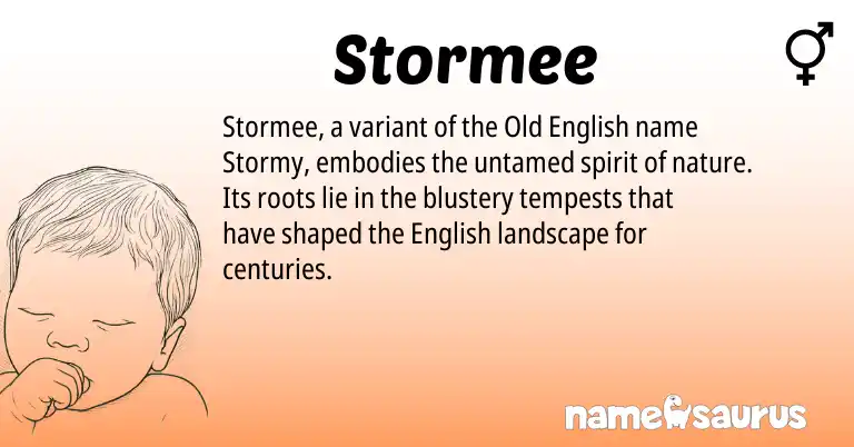 Infographic about Stormee name meaning, Stormee is a name from Old English, English origin(s).