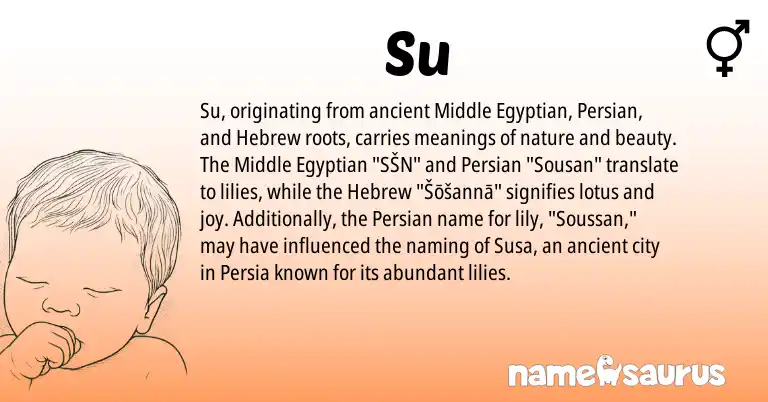 Infographic about Su name meaning, Su is a name from Egyptian, Persian, Hebrew origin(s).