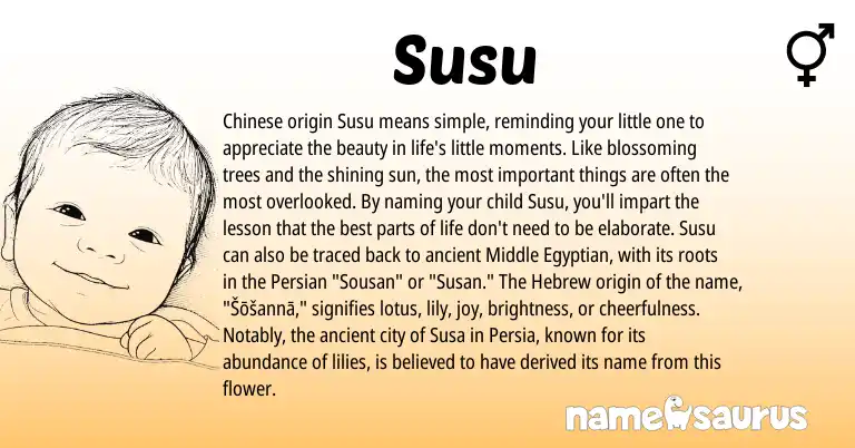 Infographic about Susu name meaning, Susu is a name from Chinese, Hebrew, Persian, Egyptian origin(s).