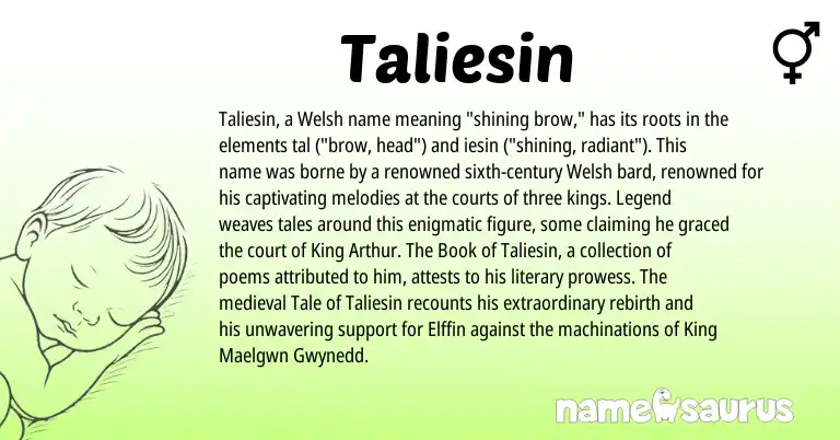 Infographic about Taliesin name meaning, Taliesin is a name from Welsh origin(s).