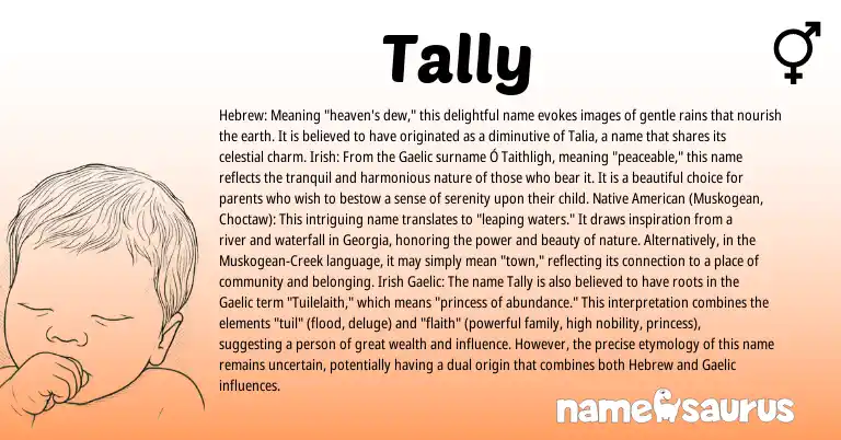 Infographic about Tally name meaning, Tally is a name from Irish, Choctaw, Native American, Gaelic, Creek, Hebrew origin(s).