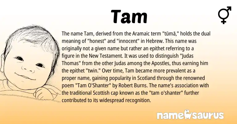 Infographic about Tam name meaning, Tam is a name from Aramaic, Scottish, Hebrew origin(s).