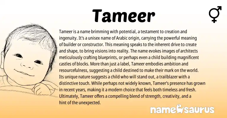 Infographic about Tameer name meaning, Tameer is a name from Arabic origin(s).