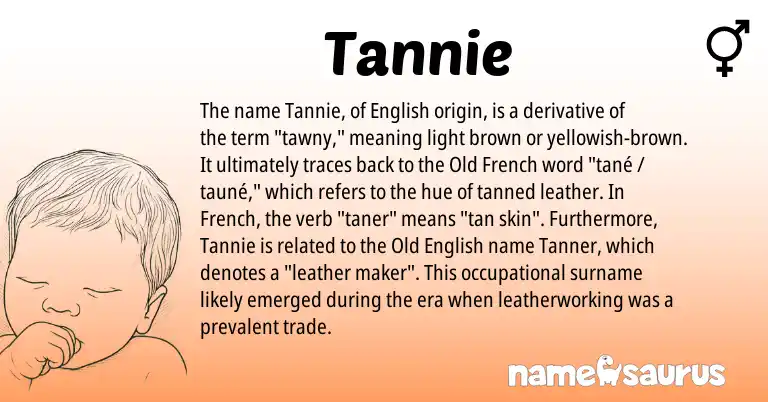 Infographic about Tannie name meaning, Tannie is a name from Old English, English, French, Old French origin(s).