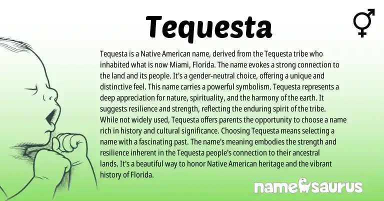 Infographic about Tequesta name meaning, Tequesta is a name from American origin(s).