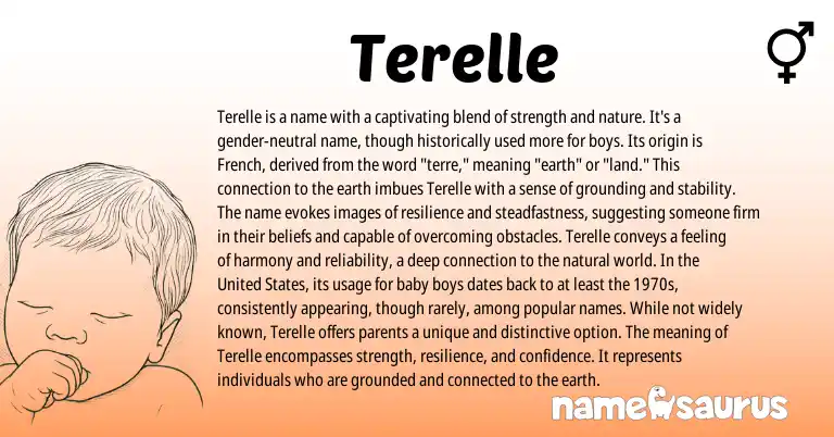 Infographic about Terelle name meaning, Terelle is a name from French, American origin(s).
