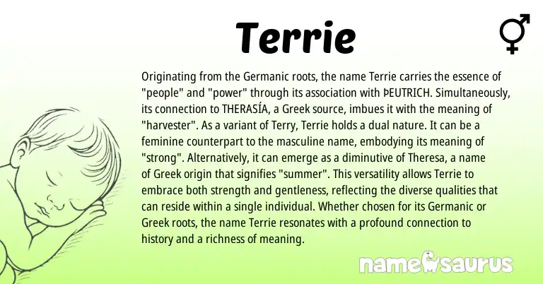 Infographic about Terrie name meaning, Terrie is a name from Germanic, Greek origin(s).