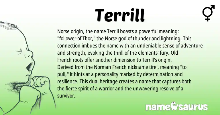 Infographic about Terrill name meaning, Terrill is a name from French, Norman, Old French, Norse origin(s).