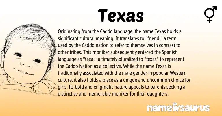 Infographic about Texas name meaning, Texas is a name from Spanish, Caddo origin(s).