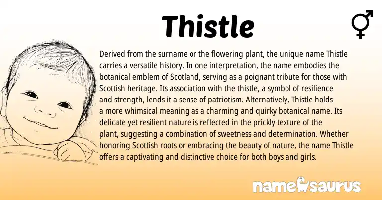 Infographic about Thistle name meaning, Thistle is a name from Scottish origin(s).