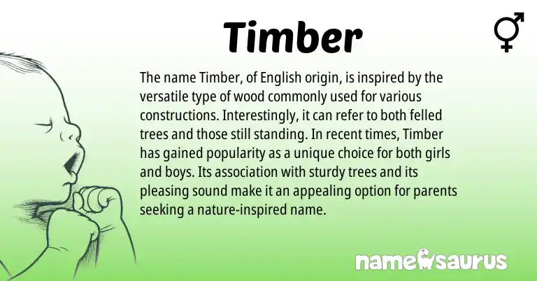 Infographic about Timber name meaning, Timber is a name from English origin(s).