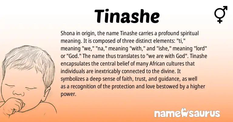 Infographic about Tinashe name meaning, Tinashe is a name from Shona, African origin(s).