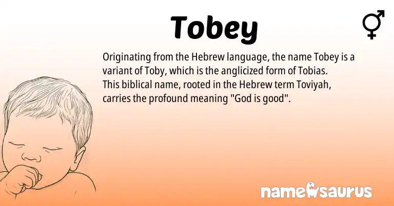 Infographic about Tobey name meaning, Tobey is a name from Hebrew origin(s).
