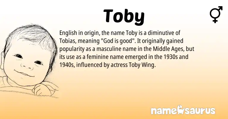 Infographic about Toby name meaning, Toby is a name from English origin(s).