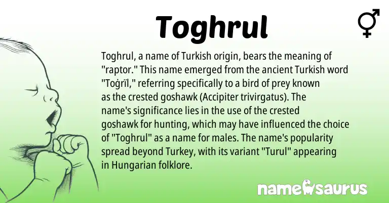 Infographic about Toghrul name meaning, Toghrul is a name from Hungarian, Turkish origin(s).