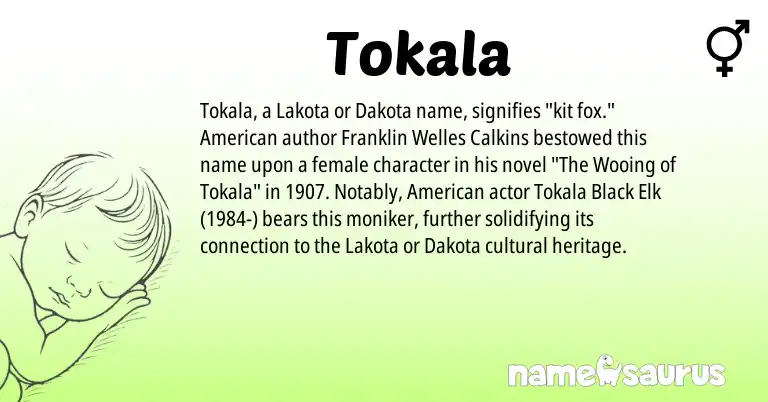 Infographic about Tokala name meaning, Tokala is a name from Dakota, American, Lakota origin(s).