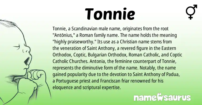 Infographic about Tonnie name meaning, Tonnie is a name from Bulgarian, Scandinavian, Roman, Coptic, Portuguese origin(s).
