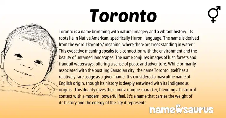 Infographic about Toronto name meaning, Toronto is a name from American origin(s).