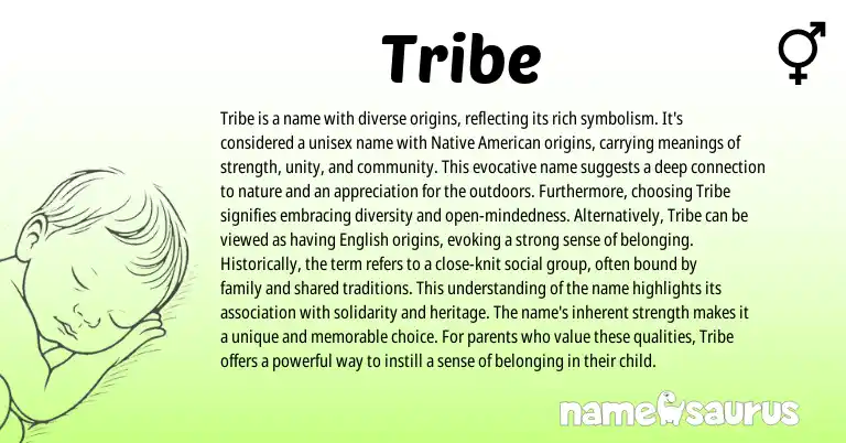 Infographic about Tribe name meaning, Tribe is a name from English, American origin(s).